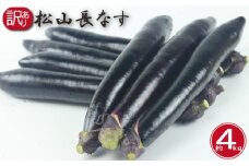 訳あり 松山長なす 約4kg | 夏野菜 茄子 わけあり 不揃い ナス 長なす ワケアリ 長ナス  野菜 国産 国内産 愛媛県 松山市