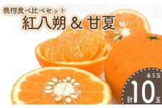 【先行予約】晩柑食べ比べセット～紅八朔&甘夏～(各5玉) | 柑橘 かんきつ 晩柑 紅八朔 甘夏 フルーツ 果物 期間限定 みかん カンキツ 蜜柑 ミカン 【2026年3月中旬頃から発送予定】愛媛県 松山市 ココオ Koko'o