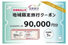 愛媛県松山市 日本旅行 【地域限定旅行クーポン 90,000 円】 旅行 トラベル チケット 宿泊 宿泊券 旅館 予約 観光 愛媛県 松山市 人気 おすすめ