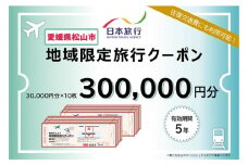 愛媛県松山市 日本旅行 【地域限定旅行クーポン 300,000 円】 旅行 トラベル チケット 宿泊 宿泊券 旅館 予約 観光 愛媛県 松山市 人気 おすすめ