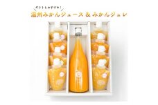 【ギフトおすすめ】 温州みかんジュース & みかんジュレ セット | 温州みかん みかんジュース みかんゼリー ギフト 蜜柑 ミカン ジュース オレンジジュース みかんじゅーす みかんぜりー お中元 おすすめ みかん ジュース ジュレ ゼリー 愛媛県 松山市
