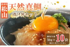 【9月発送】天然真鯛 漬け丼セット 50g × 10パック 鯛めし 宇和島 風 冷凍 鯛 小分け 漬け丼 鯛 国産 鯛 使用 漬け丼 海鮮丼 鯛 漬け丼 惣菜 漬け丼 鯛めし 漬け丼 海鮮 鯛めし 漬け丼 鯛茶漬け 漬け丼 鯛めし 鯛漬け 愛媛 松山 グルメ 魚 鯛刺身 鯛めし ごはんのお供 簡単調理のお惣菜