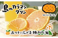 【2026年5月上旬から発送予定】完熟春みかん カラマンダリン 2kg  M~2Lサイズ