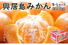【2025年11月から発送】 興居島 みかん S～L サイズ 約10kg | 愛媛 みかん 先行予約 蜜柑 柑橘 果物 くだもの フルーツ お取り寄せ グルメ 期間限定 数量限定 人気 おすすめ 愛媛県 松山市