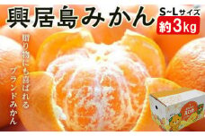 ★発送2025年11月下旬～★興居島みかん S～L サイズ 約3kg