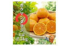 【先行予約】 カラマンダリン 良品 約2.5kg 【4月下旬頃より発送】 | 愛媛 みかん 先行予約 柑橘 お取り寄せ グルメ 期間限定 数量限定 人気 おすすめ 愛媛県 松山市