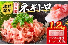 【9月発送】 ネギトロ 1.2kg ( 100g×12パック ) 