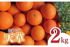 【2026年1月下旬から発送予定】天草 小玉 2kg 