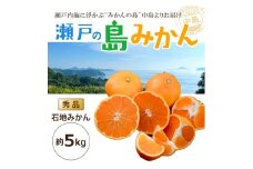 【先行予約】 瀬戸内海の島みかん (秀品)【石地みかん】約5kg | 柑橘 みかん 密柑 オレンジ フルーツ 果物【2026年1月頃発送予定】 愛媛県 松山市 ココオ Koko'o