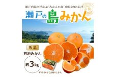 【先行予約】 瀬戸内海の島みかん (秀品・ギフトBOX入)【石地みかん】約3kg | 柑橘 みかん 密柑 オレンジ フルーツ 果物【2026年1月頃発送予定】 愛媛県 松山市 ココオ Koko'o
