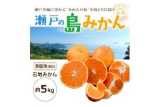 【先行予約】 瀬戸内海の島みかん 家庭用 (優品)【石地みかん】約5kg | 柑橘 みかん 密柑 オレンジ フルーツ 果物【2026年1月頃発送予定】 愛媛県 松山市 ココオ Koko'o