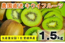 家庭用 キウイフルーツ ヘイワード 約1.5kg 愛媛県産 【12 月上旬~2 月下旬発送】| 先行予約 キウイフルーツ ヘイワード 農園直送 家庭用 フルーツ キウイ 果物 グリーンキウイ 愛媛県 松山市 おすすめ 人気