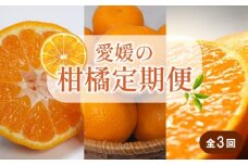 【先行予約】【全3回】 柑橘定期便｜  せとか 神ポン カラマンダリン 不知火 柑橘 定期便 取り寄せ 甘いみかん ギフト 愛媛県産 ミカン みかん mikan 蜜柑 フルーツ 果物 くだもの お取り寄せ 産地直送 数量限定 人気 おすすめ 送料無料 贈答 ギフト 愛媛県 松山市