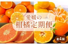 【先行予約】【全4回】 柑橘定期便｜  興居島みかん あいか はれひめ いよかん 温州 温州みかん 愛果 愛果28号 紅まどんな と同品種 伊予柑 柑橘 定期便 取り寄せ 甘いみかん ギフト 愛媛県産 ミカン みかん mikan 蜜柑 フルーツ 果物 くだもの お取り寄せ 産地直送 数量限定 人気 おすすめ 送料無料 贈答 ギフト 愛媛県 松山市