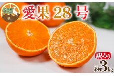 【訳あり】愛果28号 約3kg 【12月上旬~1月中旬頃発送予定】 | あいか 愛果28号 紅まどんな と同品種 訳あり ワケアリ みかん 柑橘 アイカ 先行予約 ミカン かんきつ 果物 フルーツ おすすめ 訳アリ 蜜柑 送料無料 愛媛県 松山市