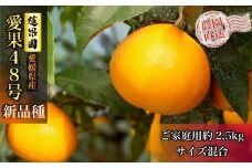 【先行予約】【3月上旬から発送】 愛果48号 家庭用 約2.5kg  | あいか48号 B品 大中小サイズ混合 ※ 紅プリンセス と同品種  みかん ミカン 蜜柑 果物 くだもの フルーツ 高級 贈答 ギフト 贈り物 柑橘 柑橘類 かんきつ 愛媛果試第48号 常温 国産 愛媛 愛媛県 松山市