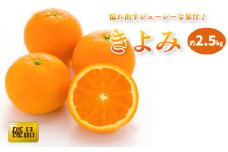 【2026年3月中旬から発送予定】きよみ 家庭用(優品) 約2.5kg おすすめ人気 みかん 果物 フルーツ 愛媛県産 みかん 松山市 愛媛県 