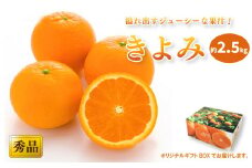 【2026年3月中旬頃から発送予定】きよみ ＜秀品＞ 約2.5kg (M-Lサイズ) ギフトBOX入り | みかん きよみ 秀品 清見 柑橘 贈答箱 愛媛県 松山市 ココオ Koko'o