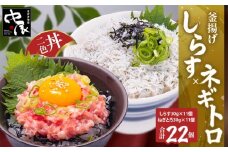 釜揚げしらすとネギトロ二色丼セット(しらす30g×11・ネギトロ30g×11／計22パック) | 冷凍 小分け 釜揚しらす 魚 常備品 しらす丼 しらすパスタ しらすチャーハン 炒飯 しらす干し 海鮮丼 ねぎとろ まぐろ ねぎとろ丼 おつまみ たんぱく質 愛媛県 松山市