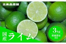 さわやか果実  ライム 約3kg  | ライム みかん 柑橘 国産ライム ジュース カクテル スイーツ サラダ 愛媛 松山 北条 果物 フルーツ 産地直送