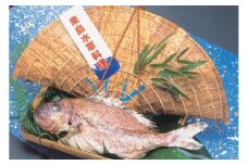 鯛の浜焼き(上)(愛媛県漁業協同組合大浜支所) [VD00060]