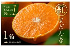 【先行予約】【数量限定】紅まどんな 化粧箱 3L～L 10～15玉【KC00620】11月中旬～12月中旬に順次発送予定 まどんな 愛媛 紅まどんな マドンナ まどんな みかん 愛媛県 果物 フルーツ みかん 3kg 年内発送 甘い 高級 柑橘類 紅マドンナ