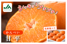 【先行予約】【数量限定】甘平 化粧箱 L～2L 8～12玉【KC00640】人気商品 国産 高級フルーツ 人気商品 みかん 柑橘 フルーツ 果物 JAおちいまばり かんぺい 寛平