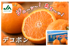 【先行予約】【数量限定】デコポン 3L～L 18～24玉【KB02510】