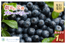 【先行予約】今治産ブルーベリー「媛ベリー」1kg 2026年7月下旬～8月下旬発送予定（森のともだち農園玉川町） 【LC00880】