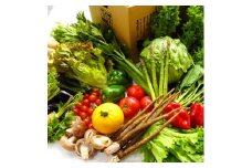 しまなみ彩野菜セット 今治産 野菜 詰合せ  [VB00100]