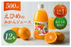 【先行予約】（11月中旬以降順次発送）愛媛のみかんジュース(伯方果汁)  果汁100% 500ｍl×12本 [VB00280]
