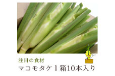 マコモタケ1箱10月上旬～11月下旬限定（森のともだち農園玉川町） [LB00620]