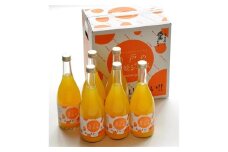 瀬戸の晴れ姫ジュース 720ml×6本【LC00450】