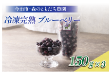 冷凍ブルーベリー（スタンディングパック）１５０ｇ×３パック [VB00780]