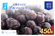 森のともだち農園　冷凍ブルーベリー（スタンディングパック）１５０ｇ×３パック【V003270P3】