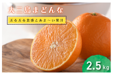 【先行予約】【数量限定】ホリ田ヤ 大三島まどんな 2.5キロ【KB00810】
