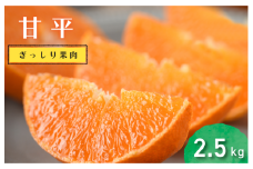 【先行予約】【数量限定】ホリ田ヤ 甘平 2.5キロ【KB00820】