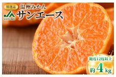 【先行予約】特選品温州みかんサンエース【KB02210】