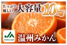 【先行予約】温州みかん 10kg【KC00760】