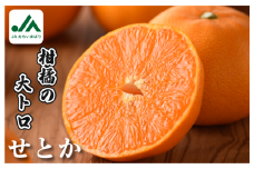 【ご家庭用】【先行予約】【数量限定】せとか レギュラー箱 ５ｋｇ【KC00770】 とろけるやわらかな果肉が特徴 みかん 柑橘 せとか