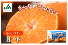 【ご家庭用】【先行予約】甘平レギュラー箱 ５ｋｇ 【KC00780】