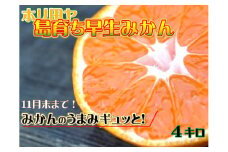 【先行予約】ホリ田ヤ 島育ち 早生みかん 4キロ【KB00940】