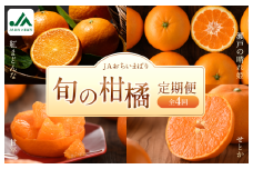 ＪＡおちいまばり柑橘定期便（４回コース）【KE00580】＜紅まどんな／瀬戸の晴れ姫／甘平／せとか＞