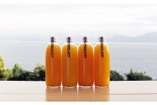 しまなみみかんジュースセット 500ml 5本セット みかんジュース ストレート 100% 果汁100% 無添加 [VB01150]
