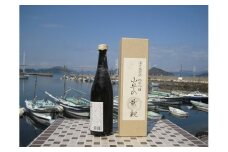 海洋熟成酒 純米吟醸 [VC02060]