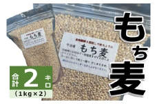 今治産　もち麦（２袋） [LB01320]