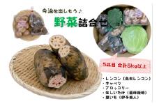 今治を楽しもう　野菜詰合せセット [LB01350]