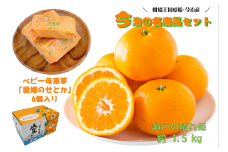 今治の名産品　瀬戸の晴れ姫・ベビー母恵夢「愛媛のせとか」セット [KB01360]