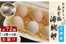 海賊卵【烏骨鶏卵】12個×６回【６か月定期便】[VE00840]