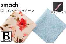 smachi(スマチ) ノンアイロンハンカチ レディース 2枚／Bセット [VB01452]